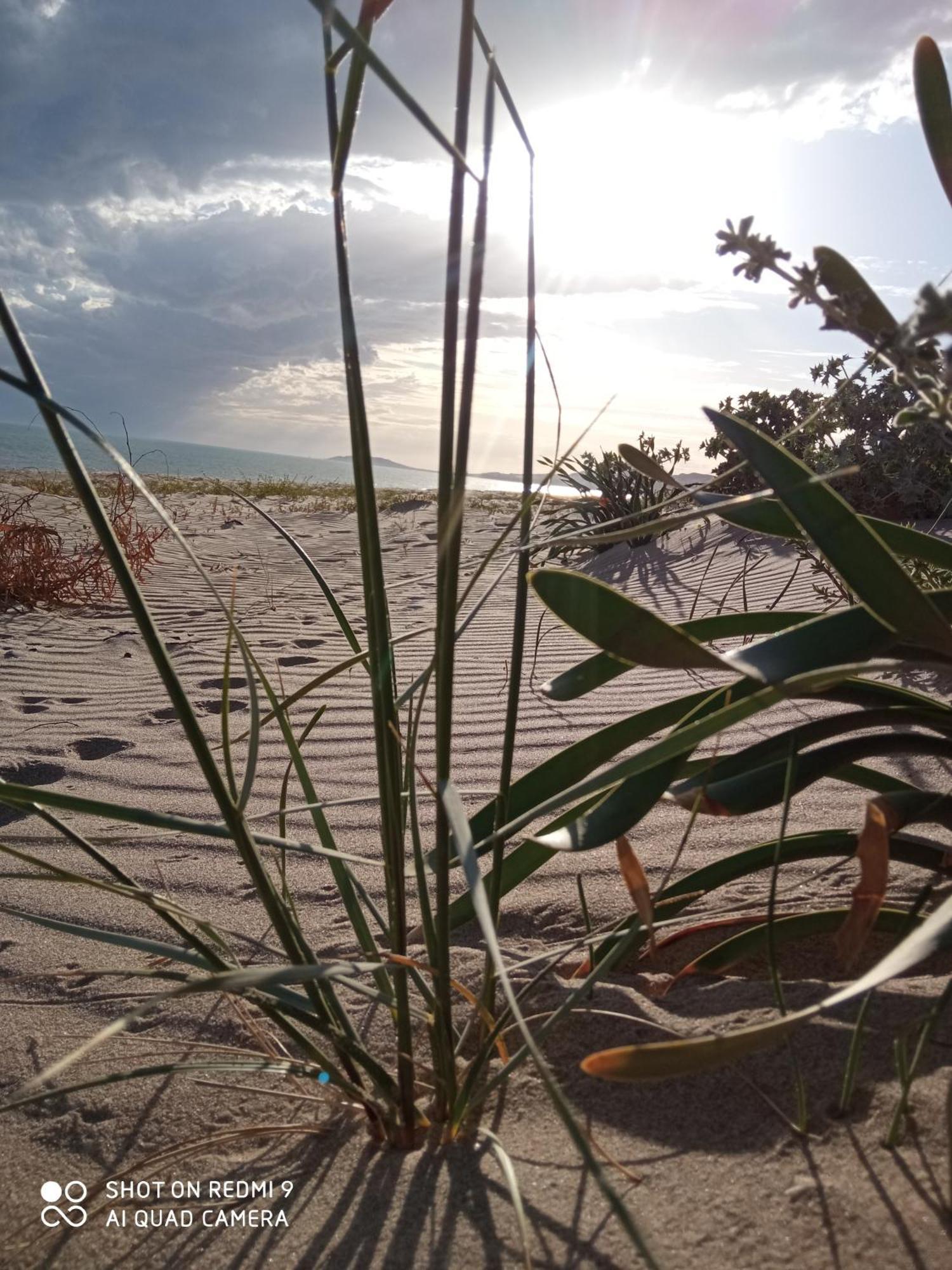 Natura E Relax Sul Mare เจลา ภายนอก รูปภาพ